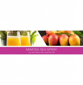 Mimosa Sea Spray 411g 3-Docht