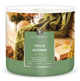 This is Autumn 411g 3-Docht