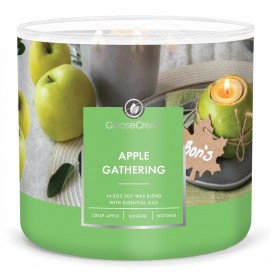 Apple Gathering  411g 3-Docht