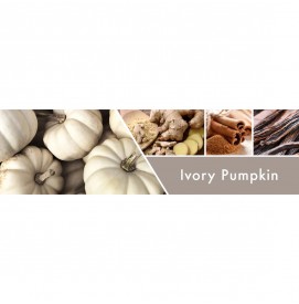 Ivory Pumpkin 411g 3-Docht