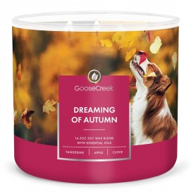 Dreaming of Autumn 411g...