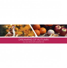 Dreaming of Autumn 411g 3-Docht