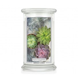 Succulents (23 oz-Glas,...