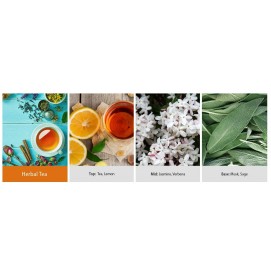 Herbal Tea 623g 2-Docht von Kringle Candle