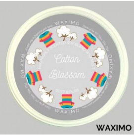 Cotton Blossom Waximo Wax...
