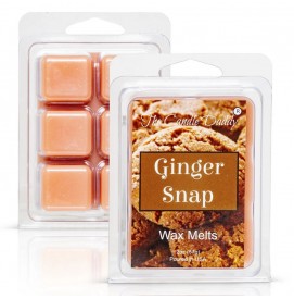 Ginger Snap - The Candle Daddy - Wax Melt -57g