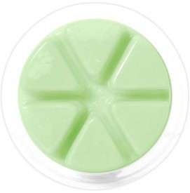 Lime Cooler - Cosy Aromas - Wax Melt - 50g