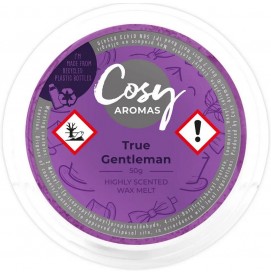 True Gentleman - Cosy...