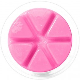 Ice Fairy - Cosy Aromas - Wax Melt - 50g