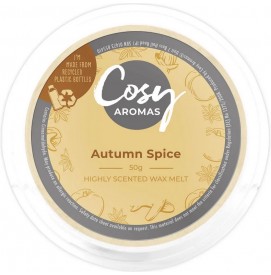Autumn Spice - Cosy Aromas...