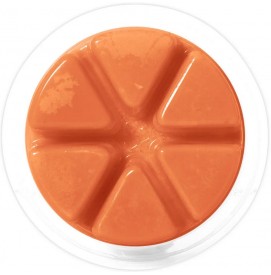 Pumpkin Picnic - Cosy Aromas - Wax Melt - 50g
