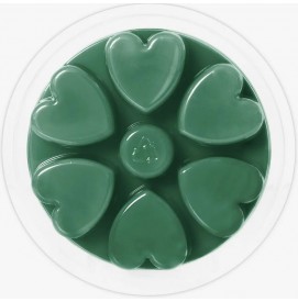 Burnt at the Stake - Cosy Aromas - Wax Melt - 90g