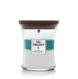 Icy Woodland Trilogy Mittleres Glas 275g WoodWick