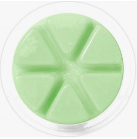Mint To Be - Cosy Aromas - Wax Melt - 50g