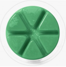 Evergreen - Cosy Aromas - Wax Melt - 50g