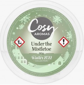 Under The Mistletoe - Cosy...