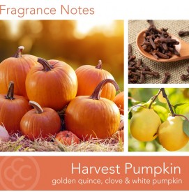 Harvest Pumpkin - 538g