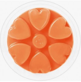Mandarin Orange - Cosy Aromas - Wax Melt - 90g