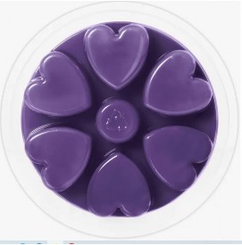 Warm Berry Pie - Limited Edition - Cosy Aromas - Wax Melt - 90g