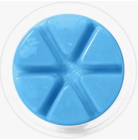 Frost Patterns - Limited Edition - Cosy Aromas - Wax Melt - 50g