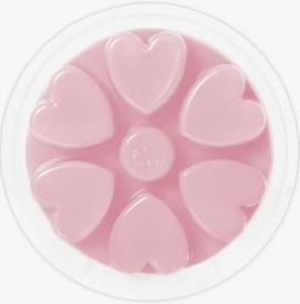 Reconnect - Cosy Aromas - Wax Melt - 90g