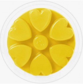 Spring In Your Step - Cosy Aromas - Wax Melt - 90g