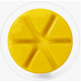 Spring In Your Step - Cosy Aromas - Wax Melt - 50g