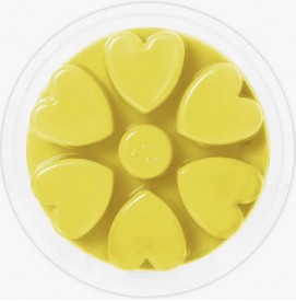 Citronella - Cosy Aromas - Wax Melt - 90g