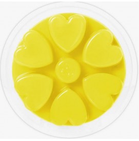 Pineapple & Coconut - Cosy Aromas - Wax Melt - 90g