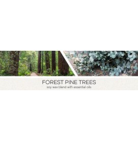 Forest Pine Trees 411g 3-Docht Goose Creek