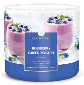 Blueberry Greek Yogurt 411g...