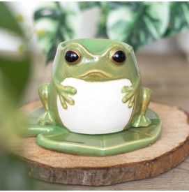 Frosch Duftlampe aus Keramik