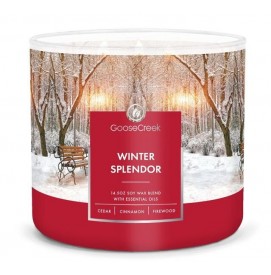 Winter Splendor 411g...