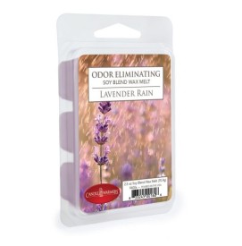 LAVENDER RAIN - Odor...