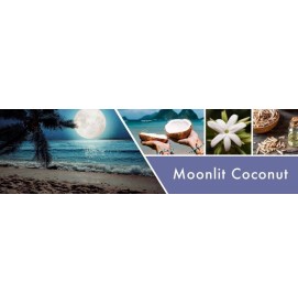 Moonlit Coconut 680g 2-Docht-Kerze Goose Creek