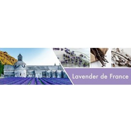 Lavendel de France 680g 2-Docht-Kerze Goose Creek