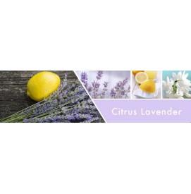 Citrus Lavender Wax Melts 59g Goose Creek
