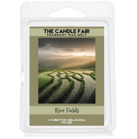 Rice Fields - 65g Duftwachs...