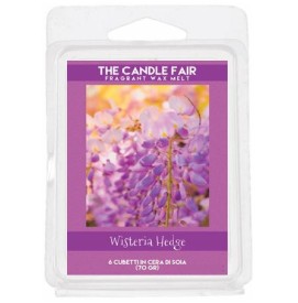 Wisteria Hedge - 65g...