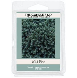 Wild Pine - 65g Duftwachs...
