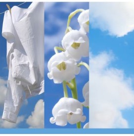 Clean Cotton Duftstecker Nachfüllung Yankee Candle