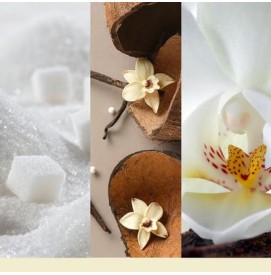 Vanilla Flurries Votivkerze im Glas 37g Yankee Candle