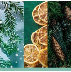 Holiday Winterfest Votivkerzen im Glas 37g Yankee Candle