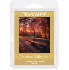 November Reflection - 65g...