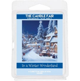 In a Winter Wonderland -...