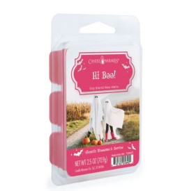 HI BOO! Limited Edition HALLOWEEN - 70g Duftwachs Melts CANDLE WARMERS®