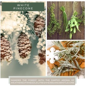 White Pinecone - 680g - 2-Docht Cheerful Candle