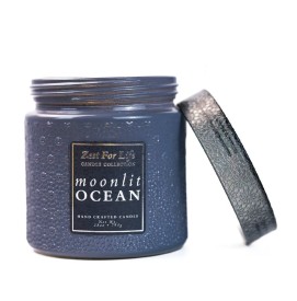 Moonlit Ocean - 794g - Zest For Life Cheerful Candle