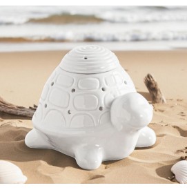 Franklin die Schildkröte...