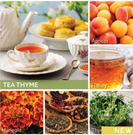 Tea Thyme - 170g - 1-Docht Kerze Cheerful Candle